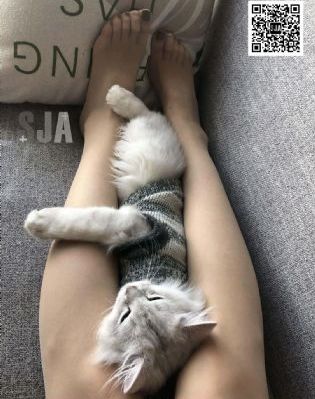 欧美三曰本三级少妇三99在线观看_免费国语在线观看